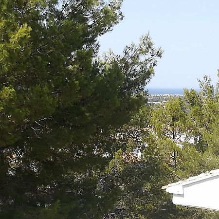 Buganvilla Pedreguer Kültér fotó