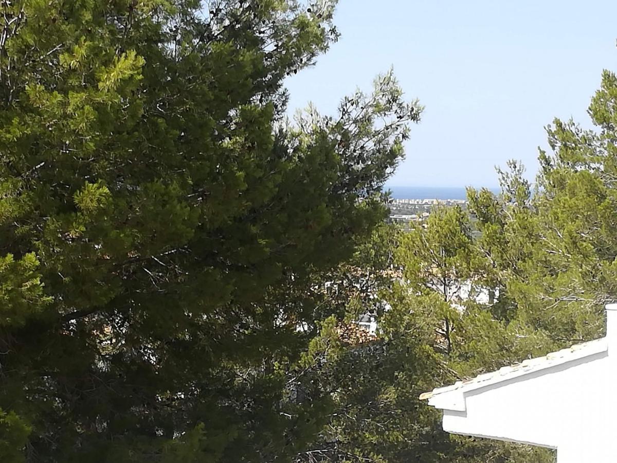 Buganvilla Pedreguer Kültér fotó